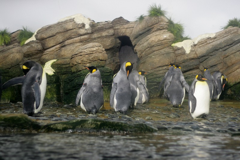 Fotoclubje Blijdorp 2008-7.jpg